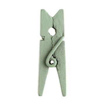 24 Mini Pinces en Bois - Vert Sauge | jourdefete.com