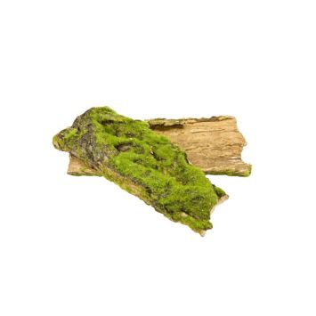 plaque d'écorce mousse synthétique | jourdefete.com