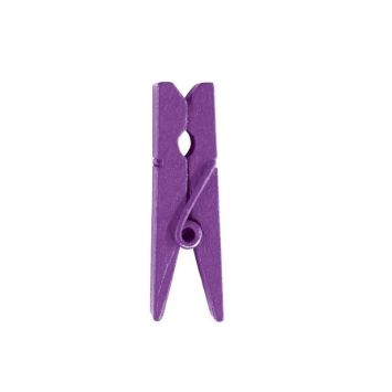 24 Mini Pinces en Bois - Prune