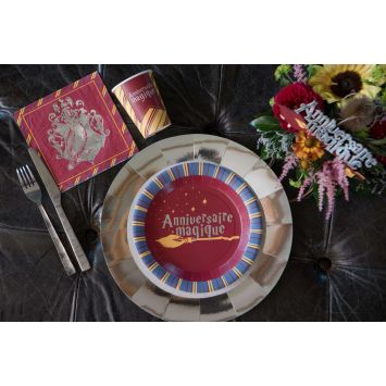 20 Serviettes en papier - Sorcier - 16,5 cm