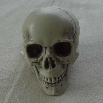 Tête de mort à poser - petit modèle